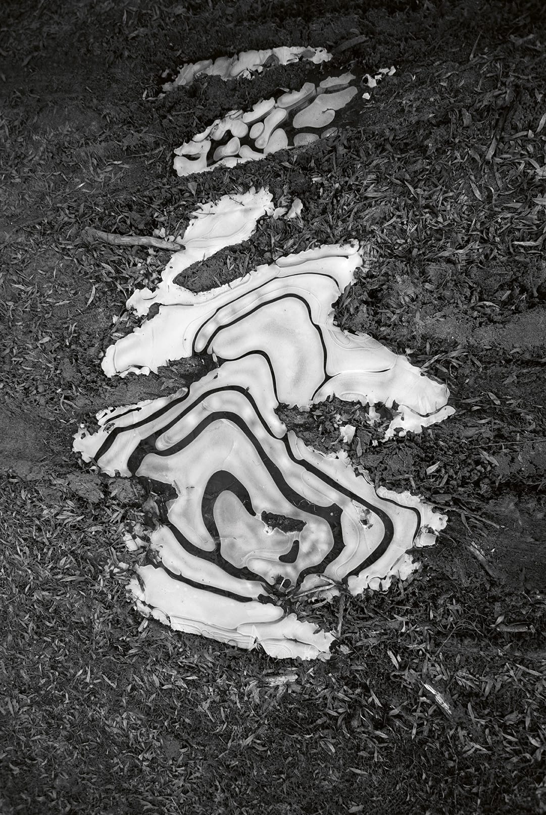 module 6 – Temporary Objects