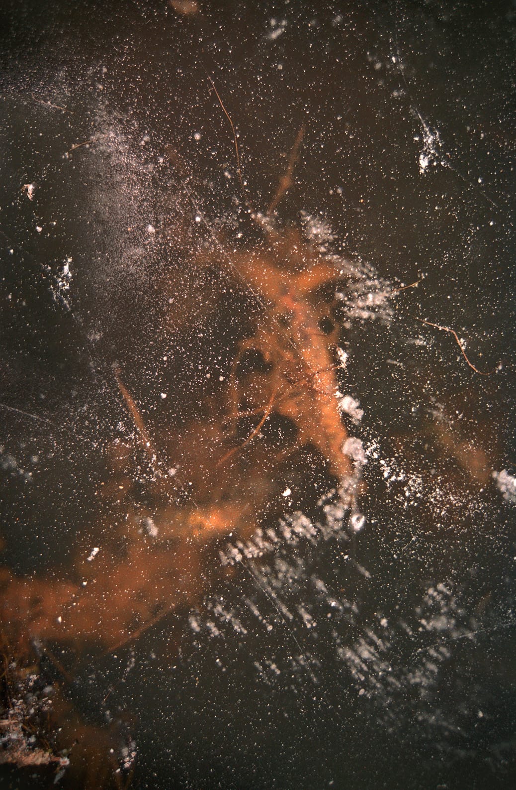 module 6 – Temporary Objects